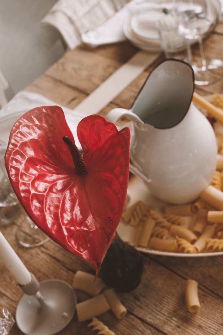 Studio Regina Photography Portfolio - Professional Photography Work